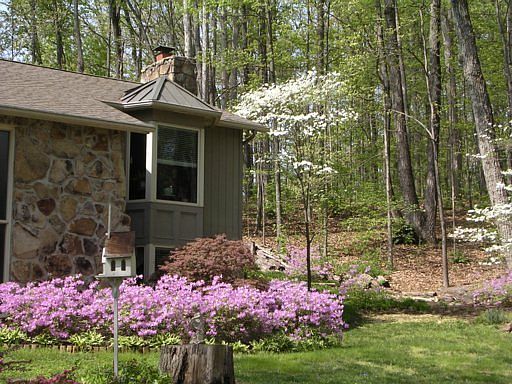 2nd image of 321 SW Essex Dr