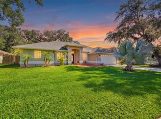 2511 Viny Ct, Tampa, FL 33618
