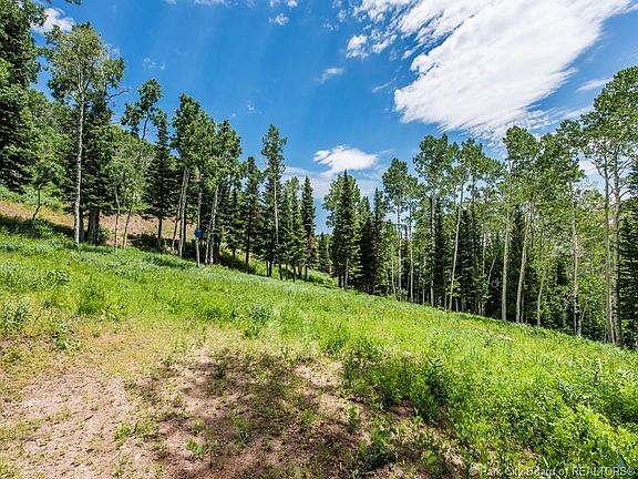 3rd image of 191 White Pine Canyon Rd #191
