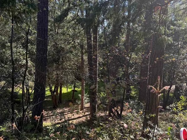 (undisclosed Address), Murphys, CA 95247