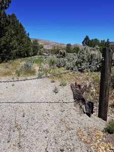 310 Mark Way, Carson City, NV, 89706