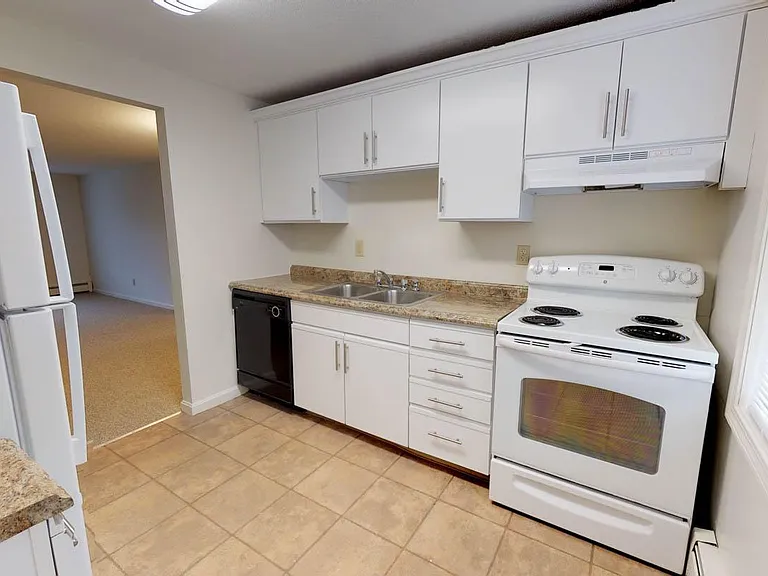 Designer cabinets with stylish new hardware and double sink!