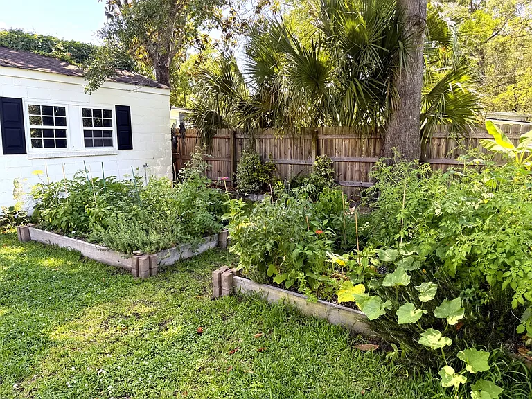 26 Nicholson St — Photo 12