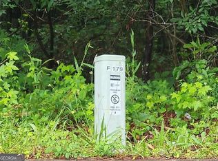 179 Ashley Trace Dr, Locust Grove, GA 30248