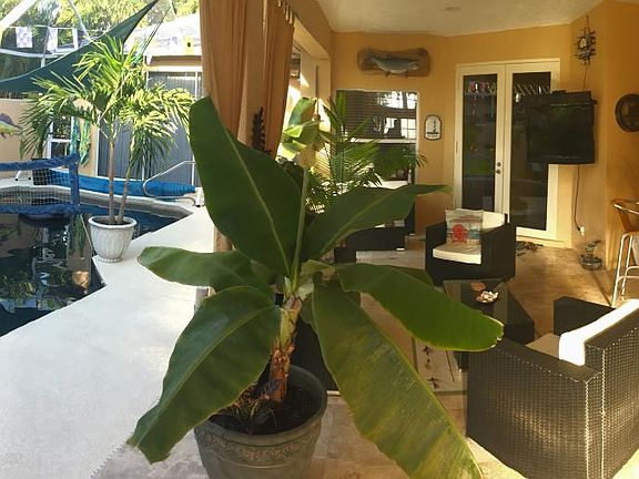 LAnai Seating