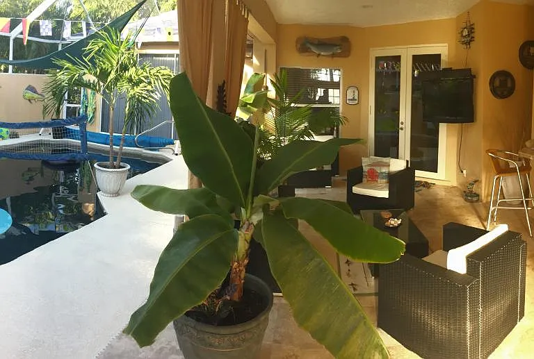 LAnai Seating