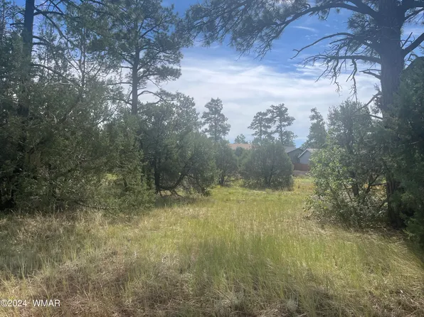 5429 Red Squirrel Ln, Lakeside, AZ 85929