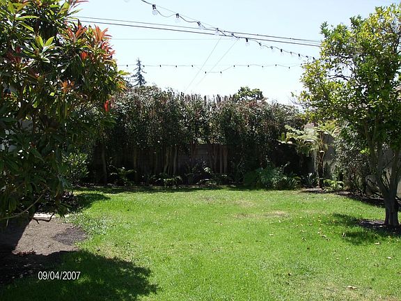 Enclosed Back Yard - Partial View