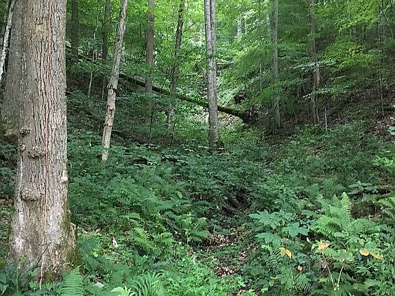 Exterior mountain valley