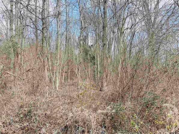 County Road 3426, Leesburg, TX 75451