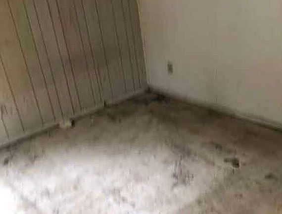 3rd image of 10 Clearfield St