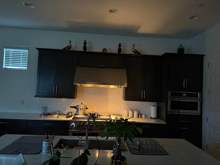 31465 N 126th Ln — Photo 12