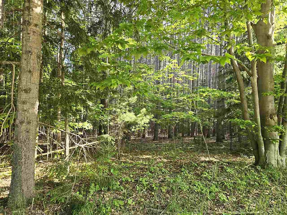 1st image of 8869 Ferry Rd