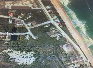 60 Hawks Ln, Flagler Beach, FL 32136