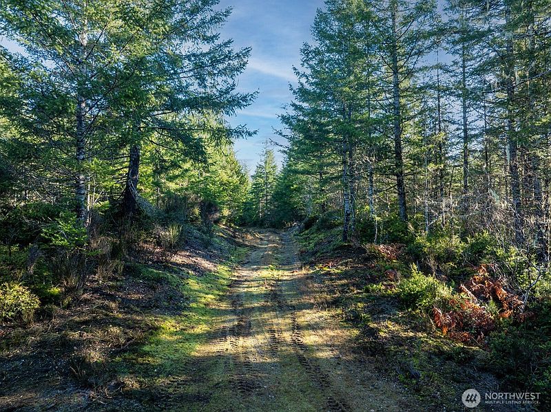 2nd image of 10 XX E Shetland Road