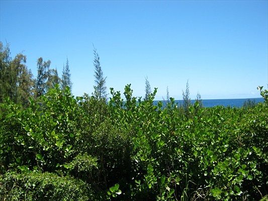 2nd image of Paradise Ala Kai Dr