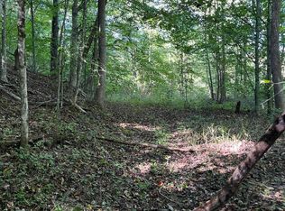 Paint Rock Buffalo Creek Rd, Oneida, TN 37841
