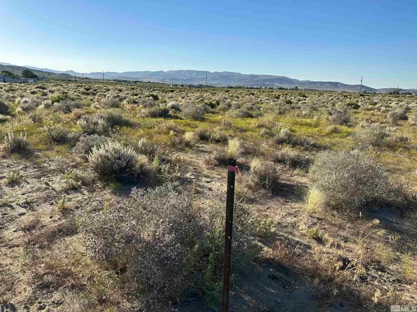 1185 E 2nd St, Silver Springs, NV 89429