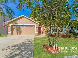 8608 Buttonbush Ct, Tampa, FL 33647
