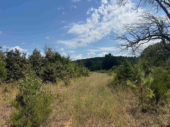 3rd image of TRACT 2 Little Woods Rd