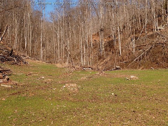 4th image of 0 Straight Creek Rd