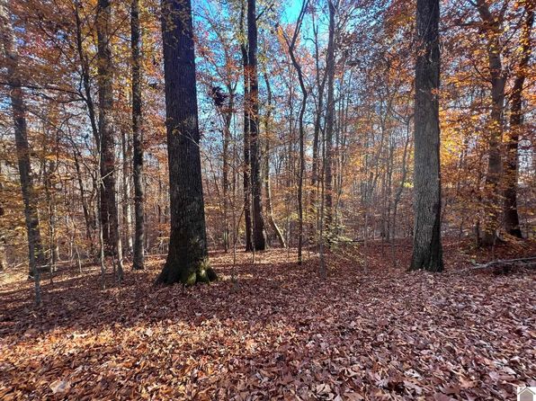 0 Commerce Lndg, Eddyville, KY 42038
