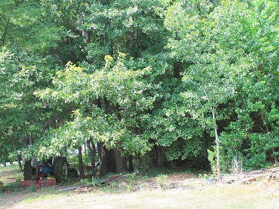 4th image of 50-53 Ellis Dr