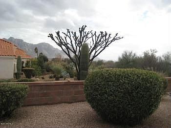 5th image of 14101 N Cirrus Hill Dr