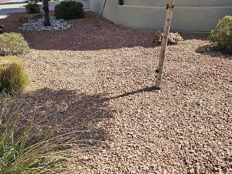 555 Avital Dr NE — Photo 20