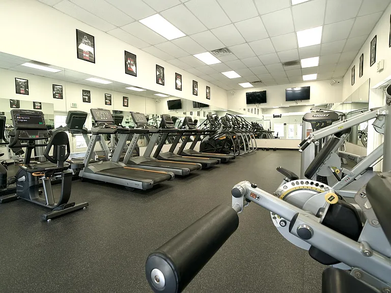 Cardio Gym Area
