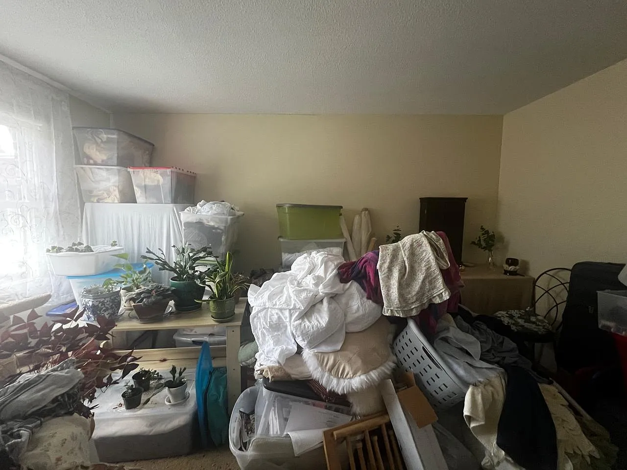73C Manchester Street Apartment — Photo 3