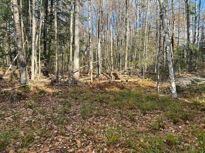 0 French Road, Norway, ME, 04268