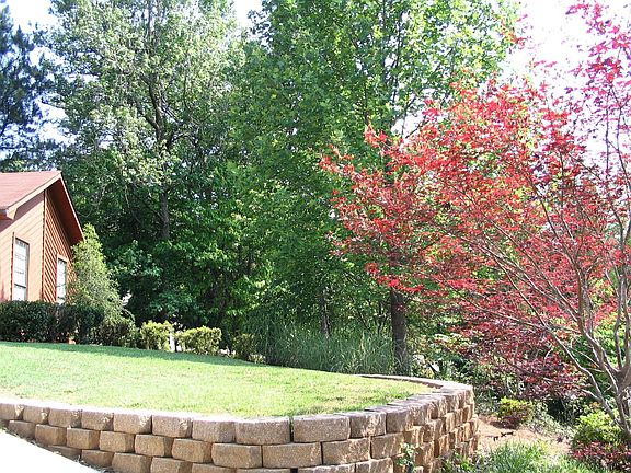 Frontyard