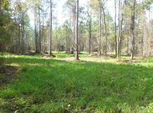 1036 Cohen Rd, Pineland, SC 29934