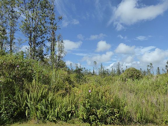 4th image of Anthurium Dr Lot 63