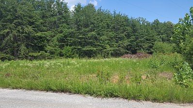 Montgomery Farms Lots