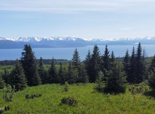 L4 E End Rd, Homer, AK 99603