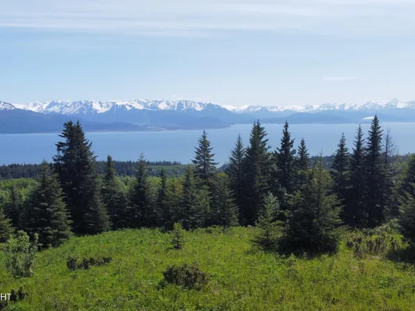 L4 E End Rd, Homer, AK 99603