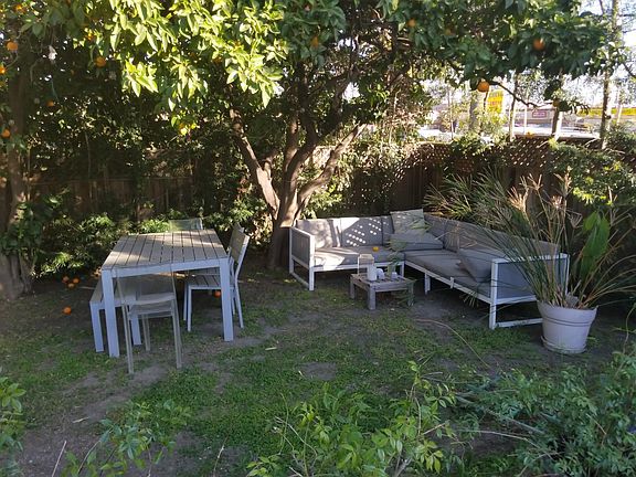 Large fruit trees in backyard with complete privacy