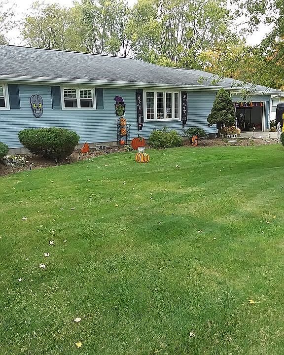 Front of house/ Front Yard