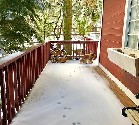 2nd image of 276 Augusta Ct