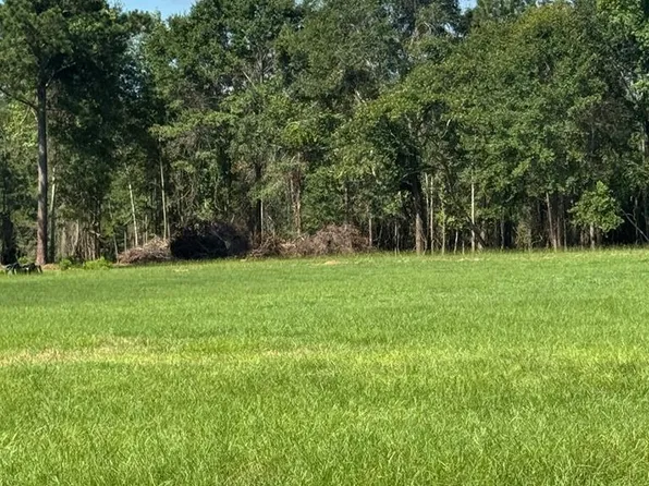 0 County Road 3339 Lot 15, Brundidge, AL 36010