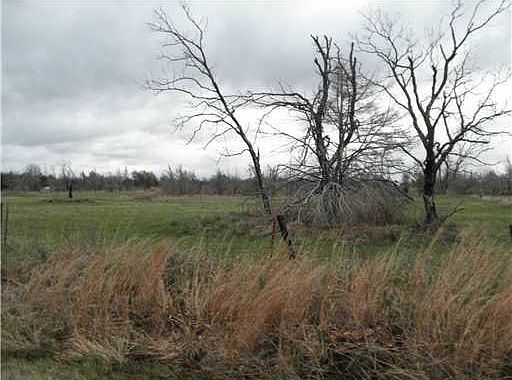 2nd image of N Dobbs Rd