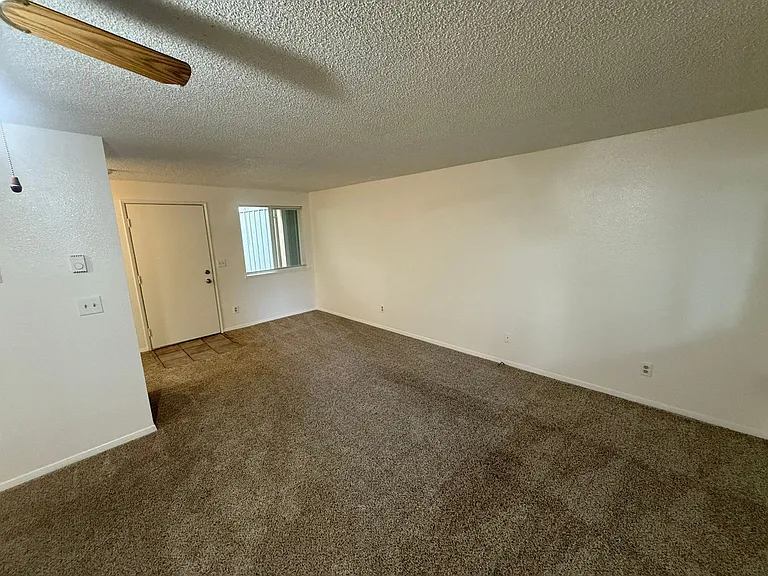 The Firs Apartments — Photo 36