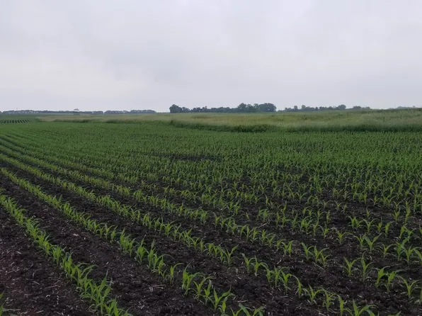 0 330th Ave, Westbrook, MN 56183