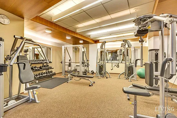 Rented by NY Living Solutions | media 56