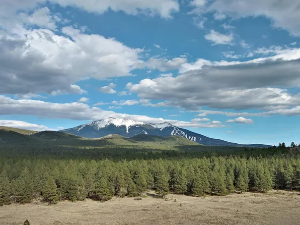 0 Forest Road 193 -- #0, Flagstaff, AZ 86001