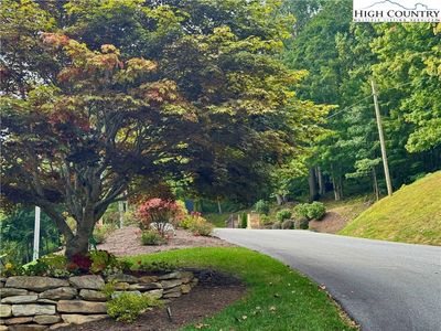 TBD Bear Paw Road, Elk Park, NC, 28622