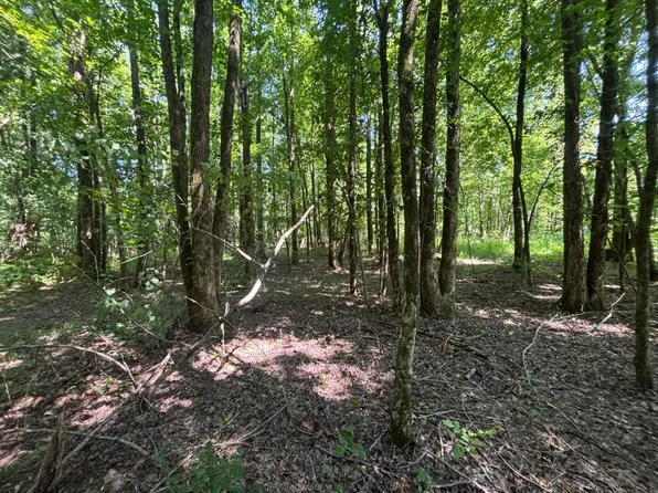 3119 Doc Gray Rd, Maynard, AR 72444