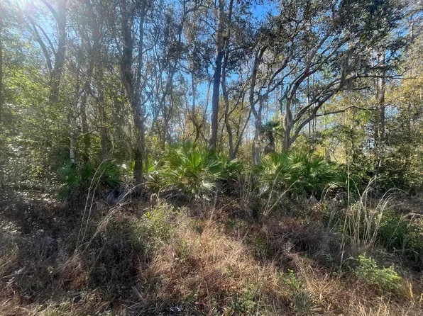 Tbd Scott Street, Interlachen, FL 32148